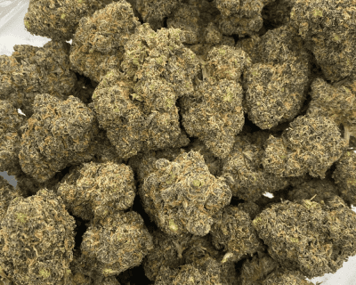 GELATO #44 - 3.5 GRAMS - Image 3