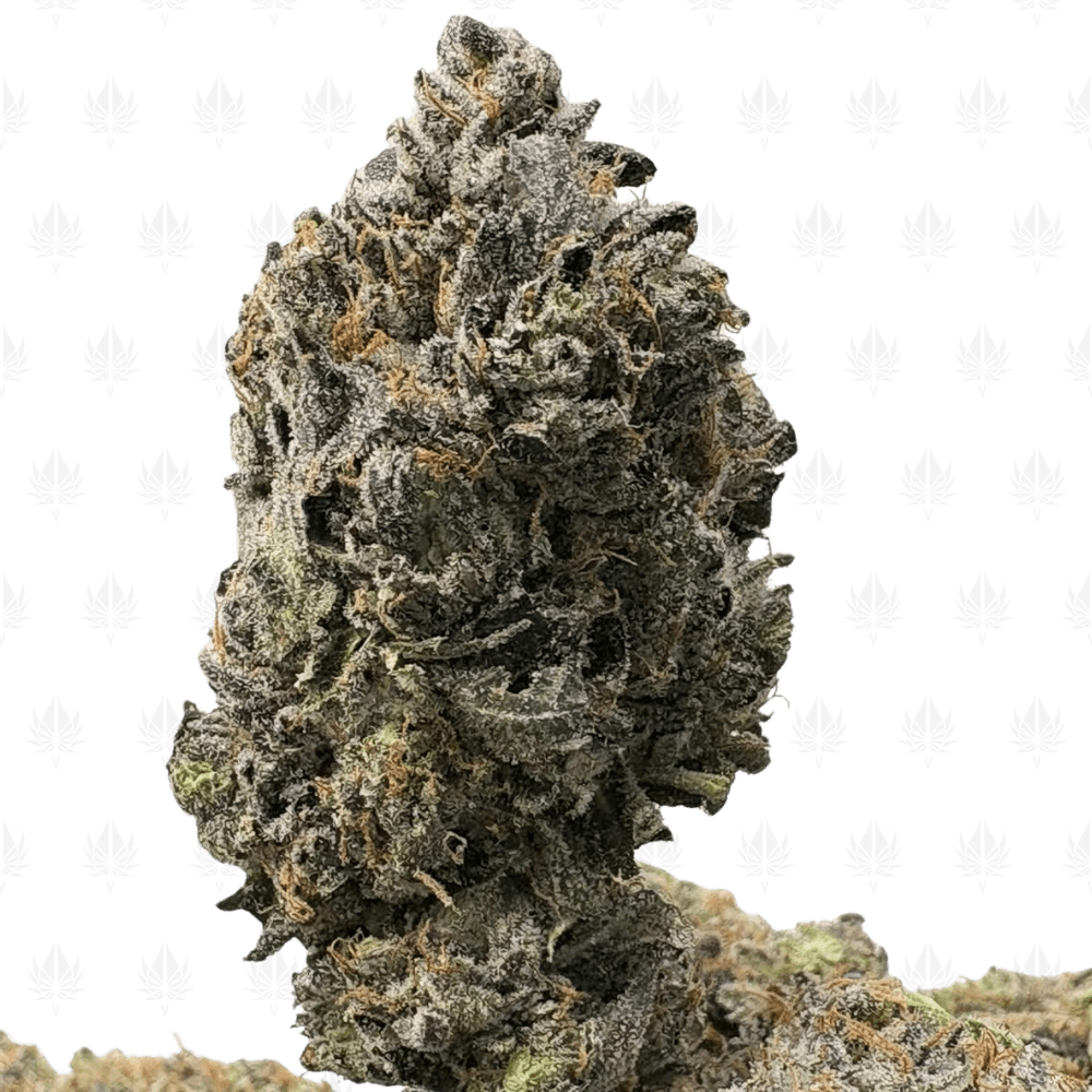 HIGH OCTANE GAS MASK (QUAD GAS) HIGH OCTANE GAS MASK (QUAD GAS)