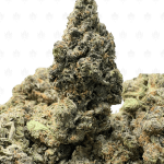 ISLAND PINK KUSH (BIGS) - QUAD GAS