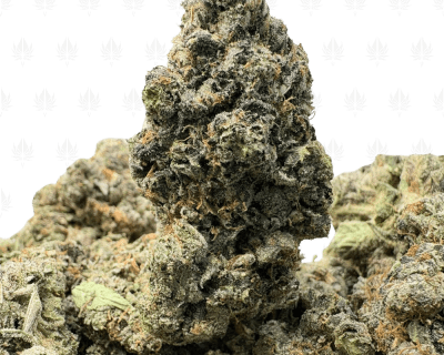 ISLAND PINK KUSH (BIGS) - QUAD GAS