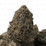 JETFUEL OCTANE (BIGS) - QUAD EXOTICS