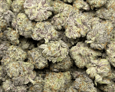 JETFUEL OCTANE (SMALLS) - QUAD EXOTICS - Image 2