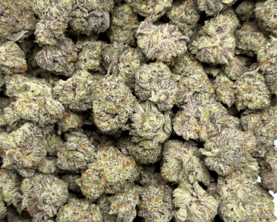 JETFUEL OCTANE (SMALLS) - QUAD EXOTICS - Image 3