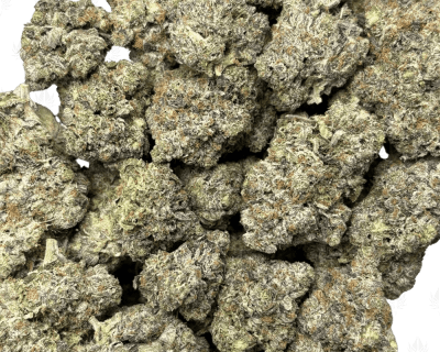 KNOCKOUT PINK (QUAD GAS) - Image 3