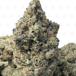 KNOCKOUT PINK (QUAD GAS)