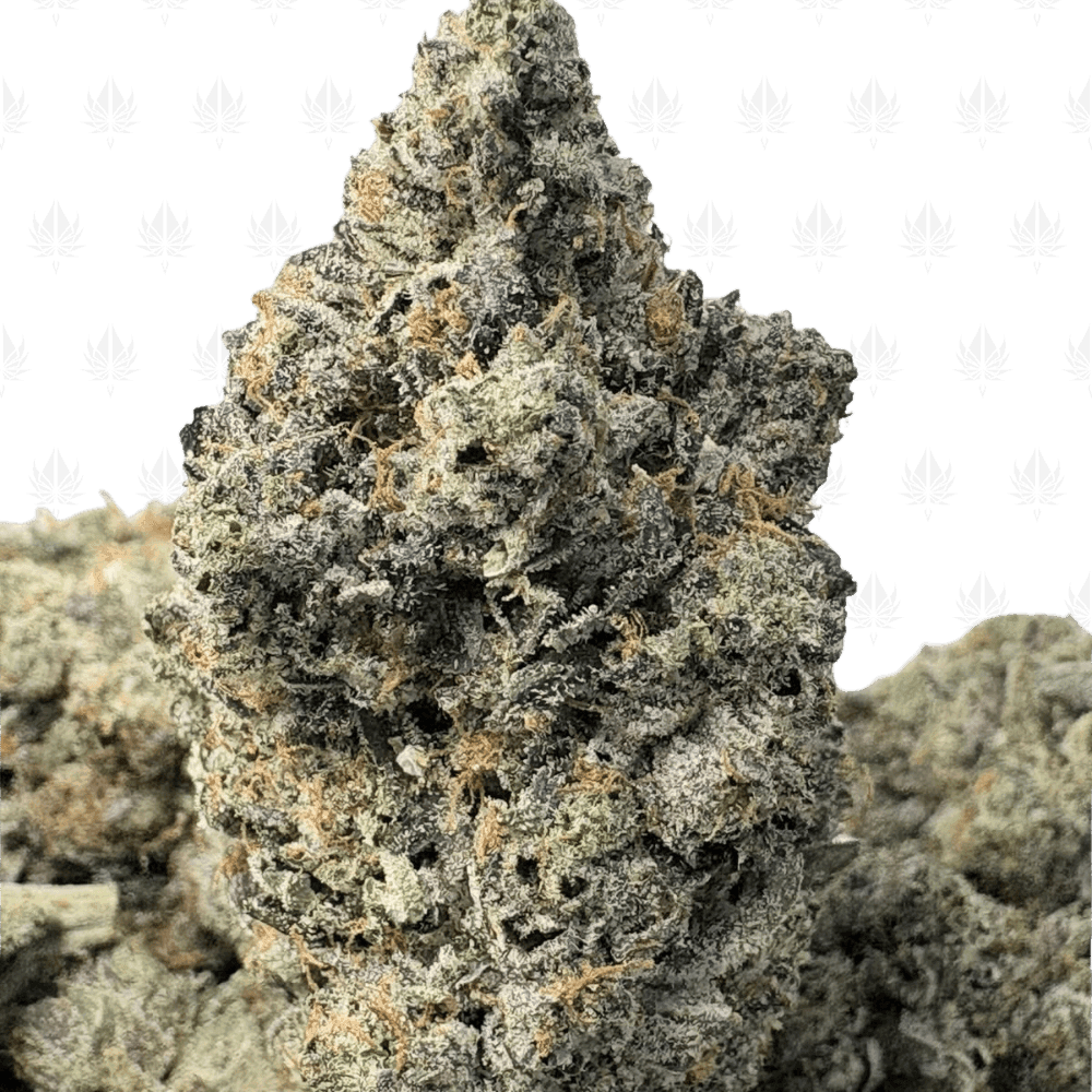 KNOCKOUT PINK (QUAD GAS)