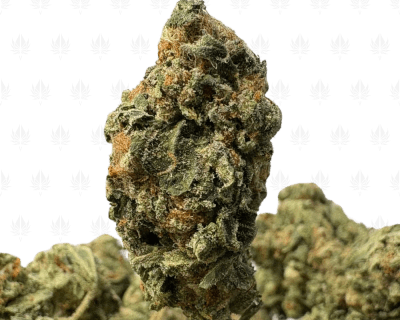 LA CONFIDENTIAL (LOWS)