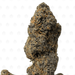 MIDNIGHT RUNTZ (BIGS) - QUAD EXOTICS