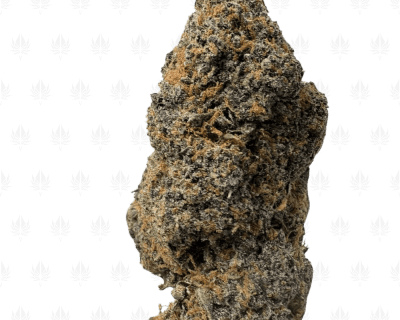 MIDNIGHT RUNTZ (BIGS) - QUAD EXOTICS