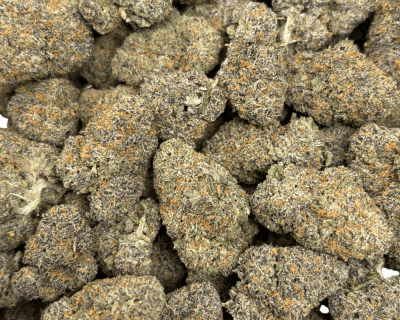 MIDNIGHT RUNTZ (BIGS) - QUAD EXOTICS - Image 3