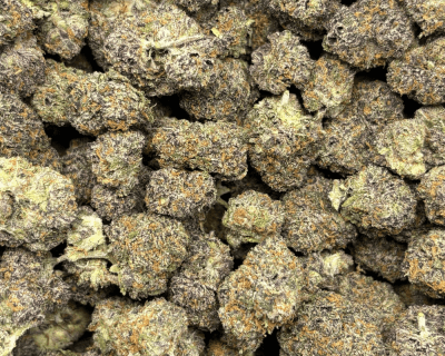 MIDNIGHT RUNTZ (SMALLS) - QUAD EXOTICS - Image 2