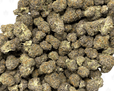 MIDNIGHT RUNTZ (SMALLS) - QUAD EXOTICS - Image 3