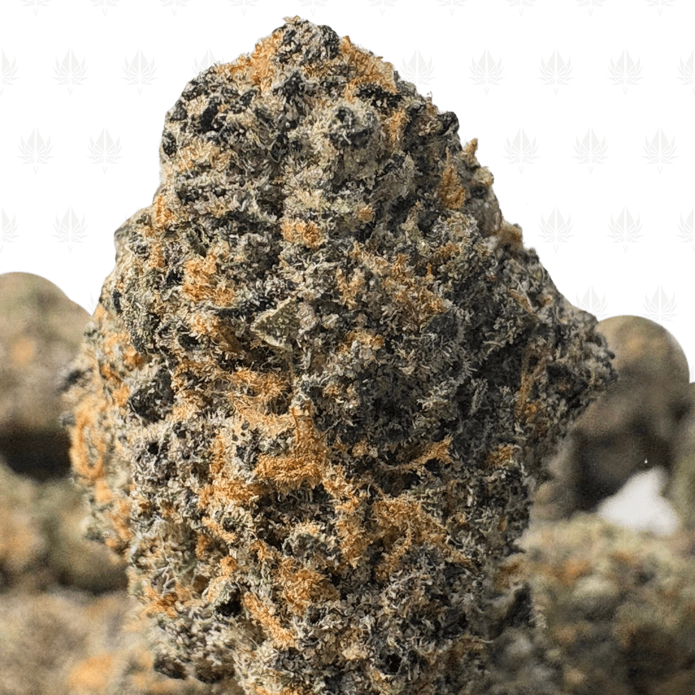 MIDNIGHT RUNTZ (SMALLS) - QUAD EXOTICS MIDNIGHT RUNTZ (SMALLS) - QUAD EXOTICS