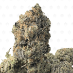 NITRO BUBBA (BIGS) - QUAD GAS