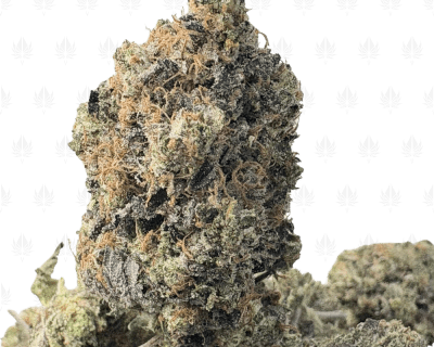 NITRO BUBBA (BIGS) - QUAD GAS