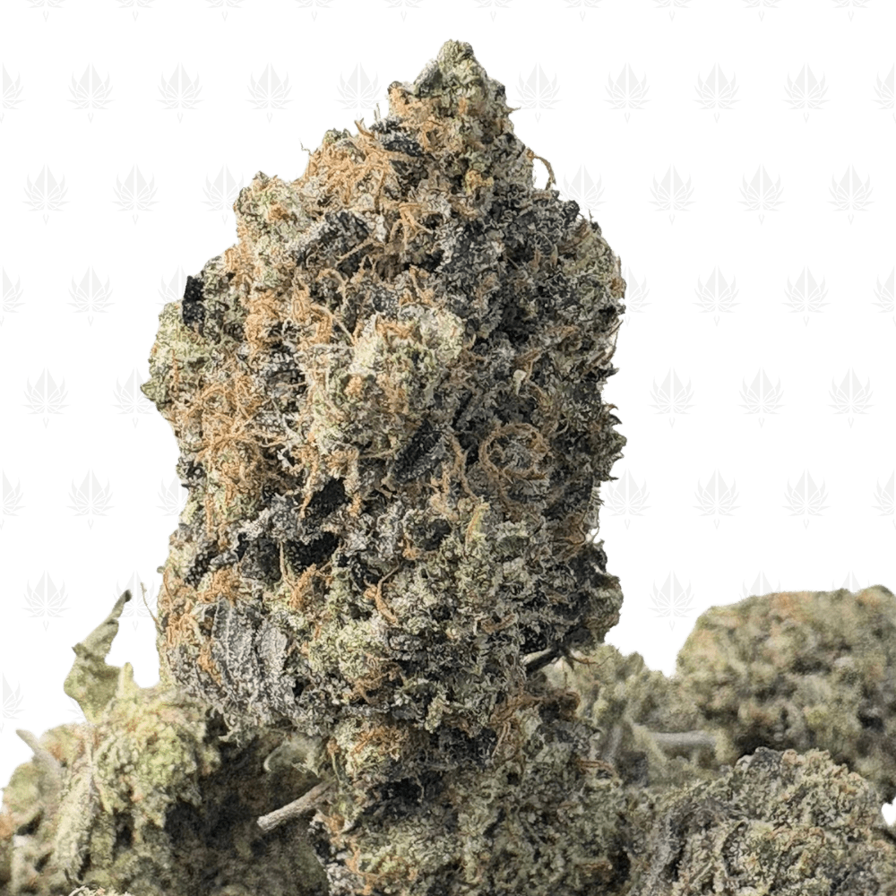 NITRO BUBBA (BIGS) - QUAD GAS