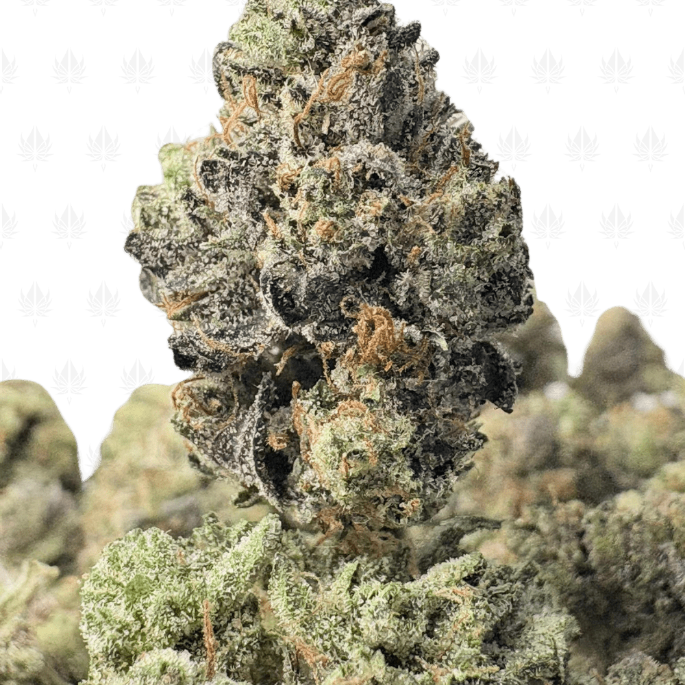 NITRO BUBBA (SMALLS) - QUAD GAS