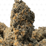 OBAMA RUNTZ ( TRIP GAS)