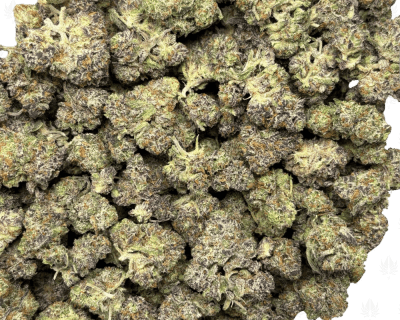 OREOZ (TRIP EXOTICS) - Image 3