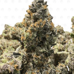 OREOZ (TRIP EXOTICS)