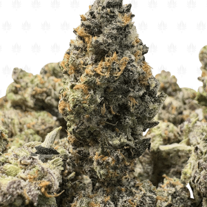 OREOZ (TRIP EXOTICS)
