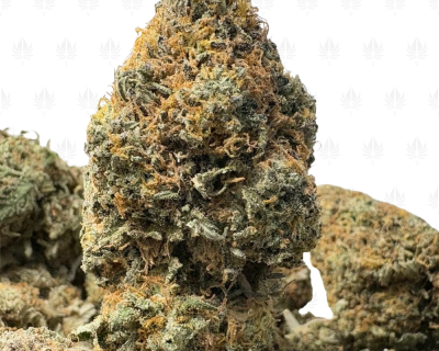 PAPAYA HAZE (LOWS)