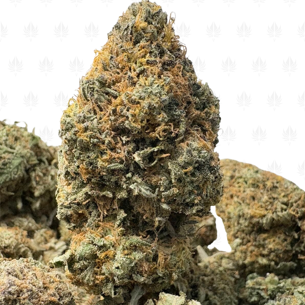 PAPAYA HAZE (LOWS)