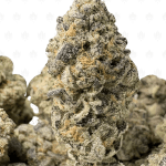 PERMANENT CAKE (LSO EXOTICS)