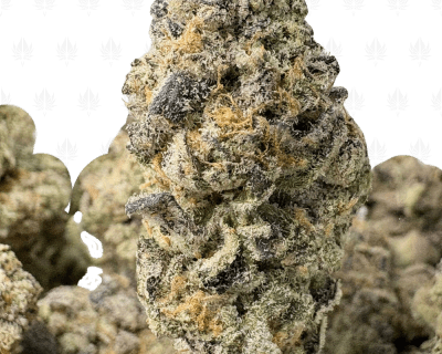 PERMANENT CAKE (LSO EXOTICS)