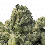 PINK ACES (SMALLS) - QUAD GAS