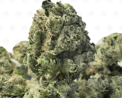 PINK ACES (SMALLS) - QUAD GAS