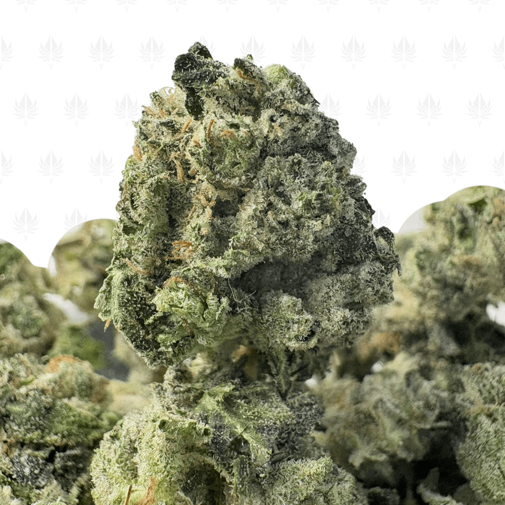 PINK ACES (SMALLS) - QUAD GAS