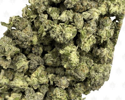 PINK ACES (SMALLS) - QUAD GAS - Image 3