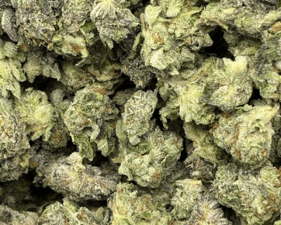 PINK ACES (SMALLS) - QUAD GAS - Image 2