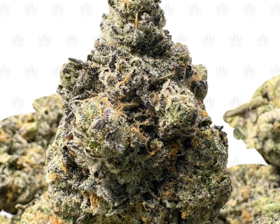PINK ANIMAL COOKIES LSO (LSO EXOTICS)