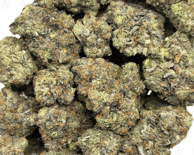 PINK BUCKSHOT (QUAD GAS) - Image 3