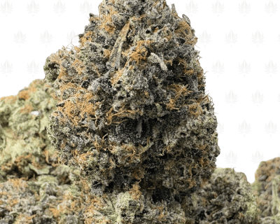 PINK COFFIN (BIGS)- QUAD GAS