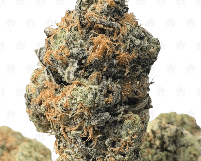 PINK FUEL (BIGS) - TRIP GAS