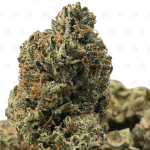PINK FUEL (SMALLS) - TRIP GAS