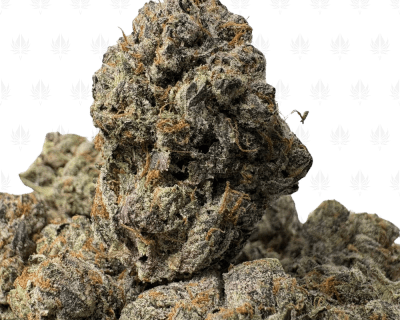 PINK GLOCK (BIGS) - QUAD GAS