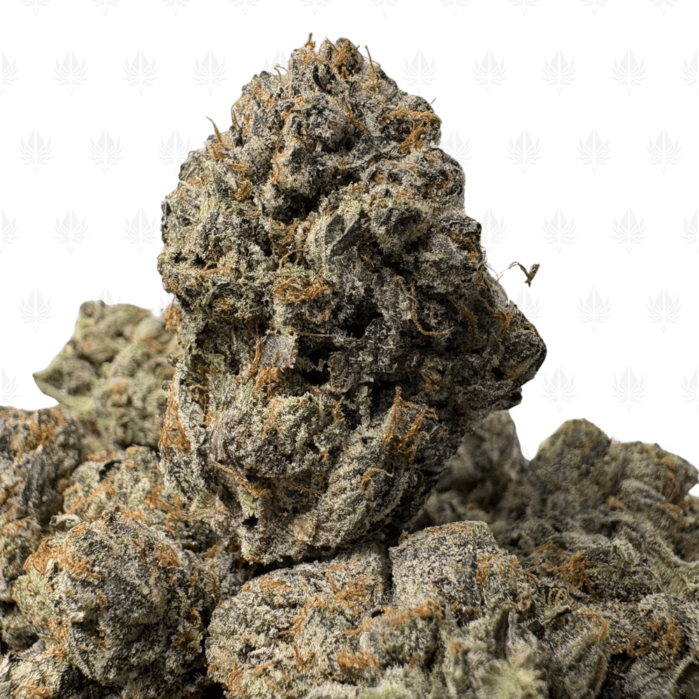 PINK GLOCK (BIGS) - QUAD GAS