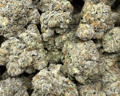 PINK GLOCK (BIGS) - QUAD GAS - Image 2