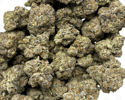 PINK GLOCK (BIGS) - QUAD GAS - Image 3