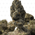 PINK GLOCK (SMALLS) - QUAD GAS