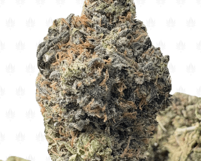 PINK GOOP (BIGS) - TRIP GAS