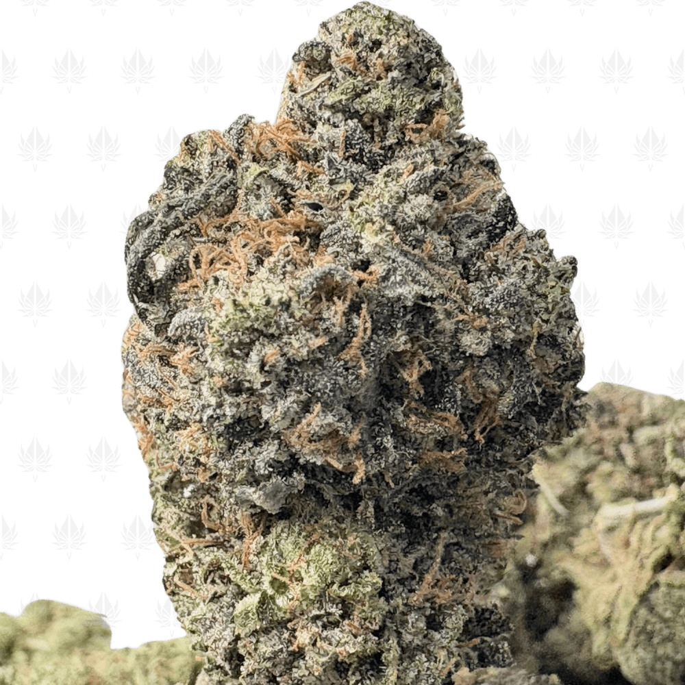 PINK GOOP (BIGS) - TRIP GAS