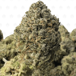 PINK GOOP (SMALLS) - TRIP GAS