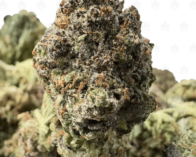 PINK GRAINS (TRIP GAS)
