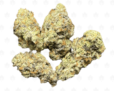 PINK MIKE TYSON (LSO GAS)