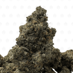 PINK NUKE (BIGS) - QUAD GAS